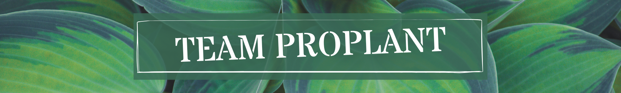 Kontakt Team Proplant